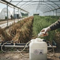 ハウス9棟のアスパラが突然枯れる 除草剤を肥料・農薬用のタンクに混入させた農業仲間逮捕のサムネイル